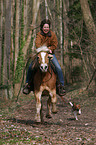 woman with Haflinger & Jack Russell Terrier