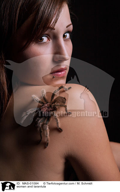 woman and tarantula / MAS-01084
