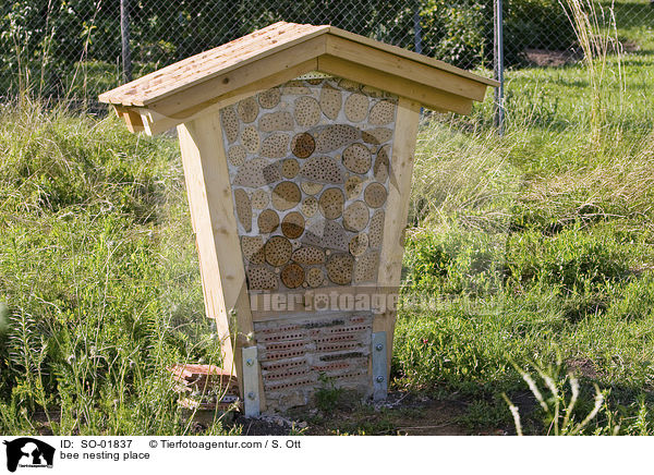 bee nesting place / SO-01837