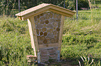 bee nesting place