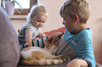 children with Domestic Cat