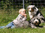 boy with dogs