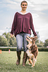 Australian Shepherd at dog sport