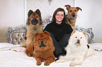 woman and 4 dogs