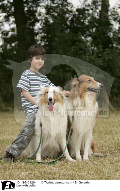 boy with collie / SG-01264