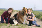 childrens with Collie and Sheltie