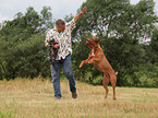 man playing with Bordeauxdog