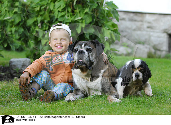 child with dogs / SST-03761
