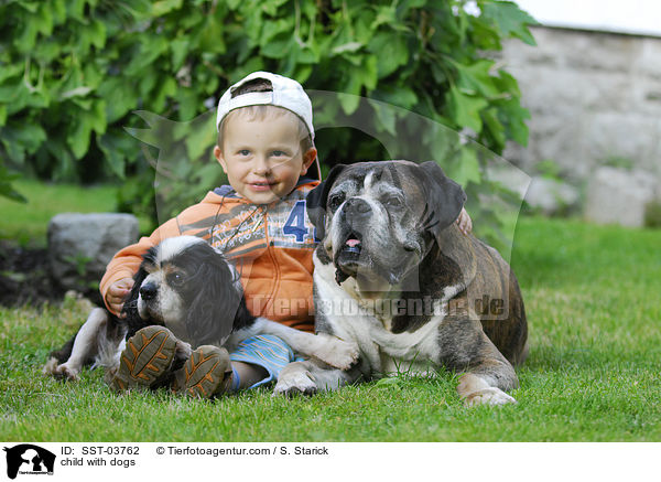 child with dogs / SST-03762