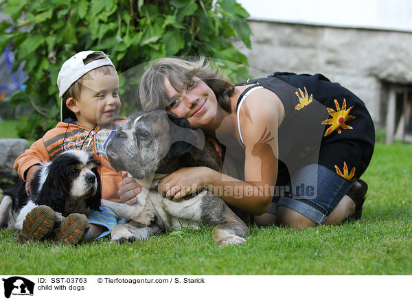 child with dogs / SST-03763