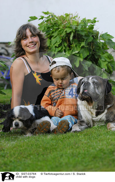 child with dogs / SST-03764
