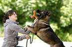young woman plays with GDR Shepherd
