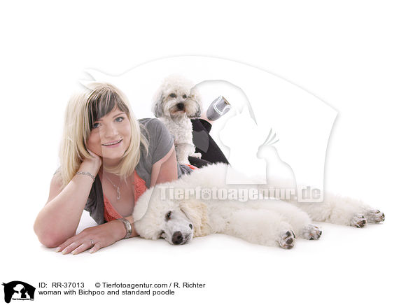 woman with Bichpoo and standard poodle / RR-37013