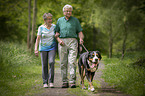Seniors go for a walk with the Greater Swiss Mountain Dog