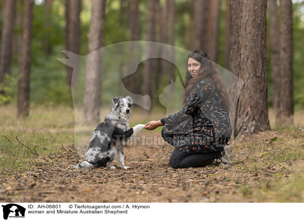 woman and Miniature Australian Shepherd / AH-06801