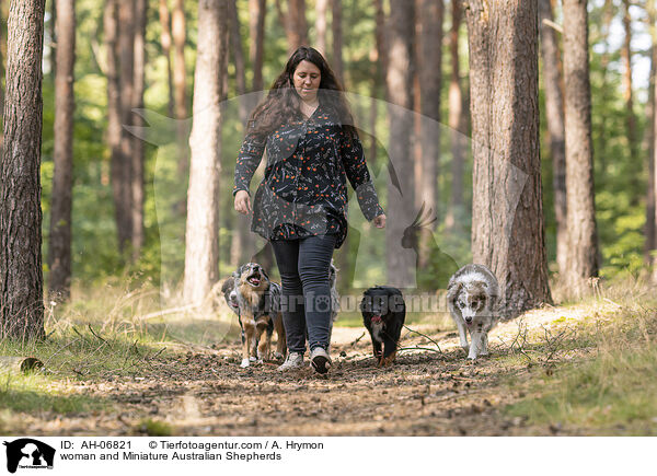 woman and Miniature Australian Shepherds / AH-06821