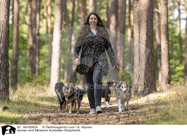 woman and Miniature Australian Shepherds / AH-06824