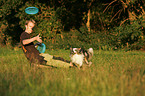 Miniature Australian Shepherd with frisbee