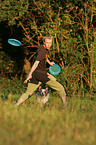 Miniature Australian Shepherd with frisbee