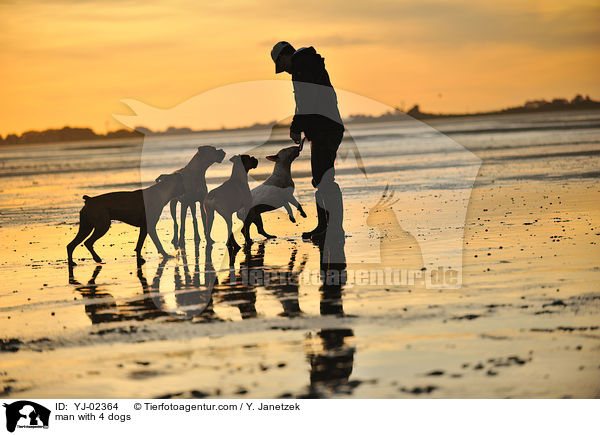 man with 4 dogs / YJ-02364