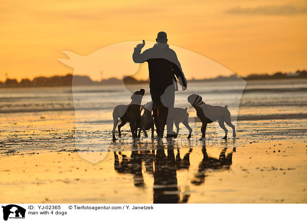 man with 4 dogs / YJ-02365