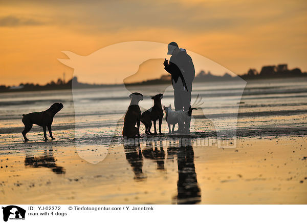 man with 4 dogs / YJ-02372