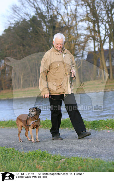 Senior walk with old dog / KF-01146