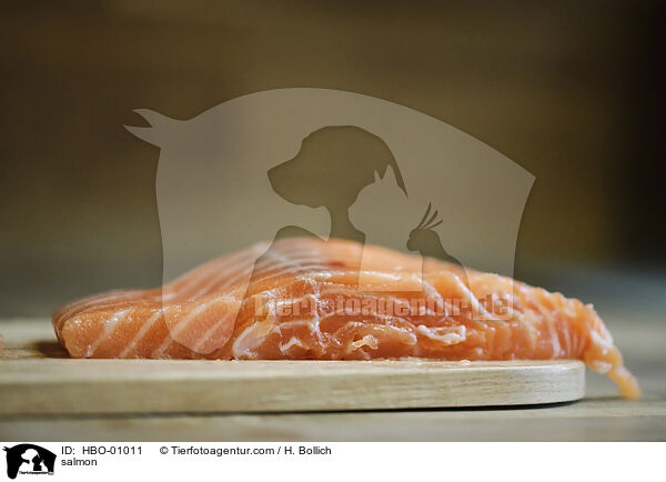 salmon / HBO-01011