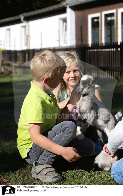 Kinder und junge Ziege / kids and young goat / PM-06980