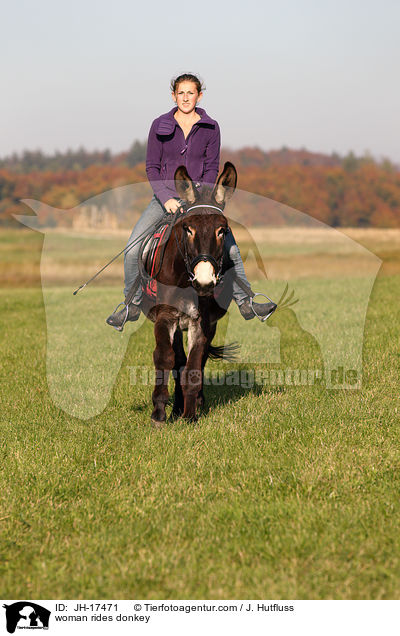 woman rides donkey / JH-17471