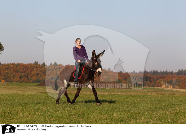 woman rides donkey / JH-17473