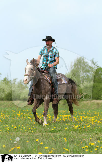 man rides American Paint Horse / SS-26939