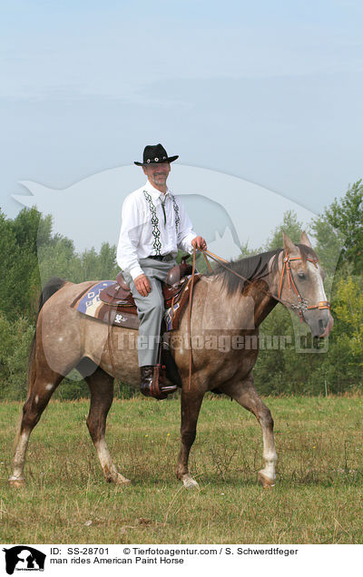 man rides American Paint Horse / SS-28701