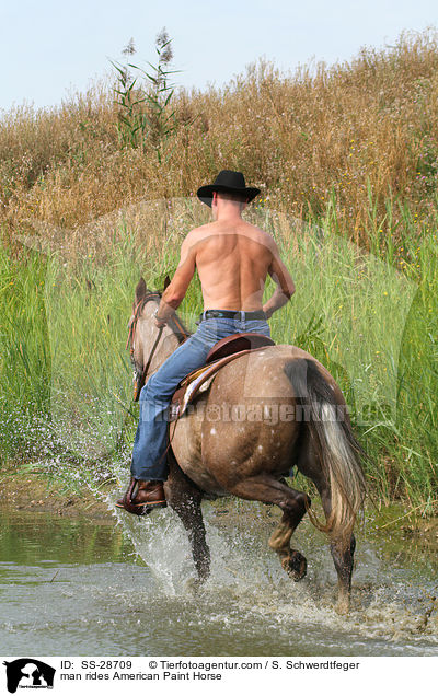 man rides American Paint Horse / SS-28709