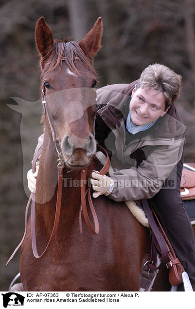 woman rides American Saddlebred Horse / AP-07363