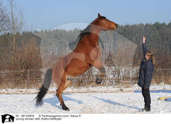 young woman with Arabo-Haflinger / AP-04604