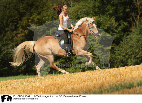 woman rides crossbred / CDE-01389