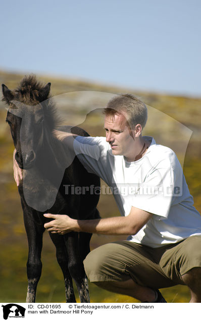 man with Dartmoor Hill Pony / CD-01695
