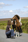 woman with Dartmoor Hill Ponies