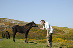 man with Dartmoor Hill Pony