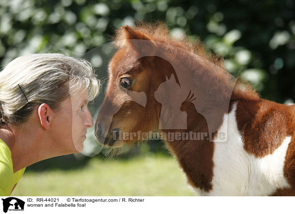 woman and Falabella foal / RR-44021