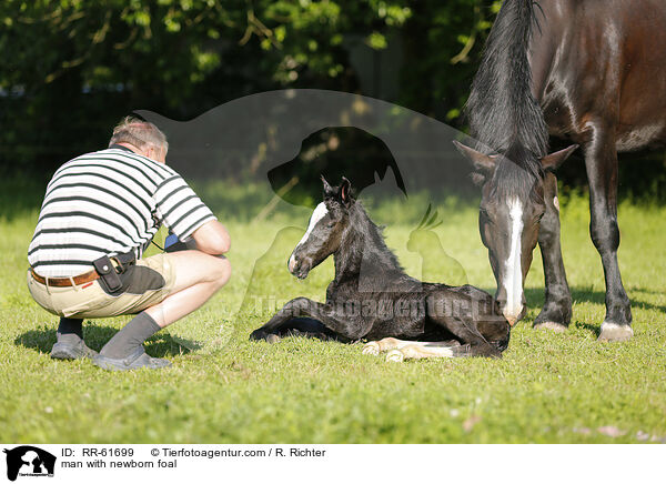 man with newborn foal / RR-61699