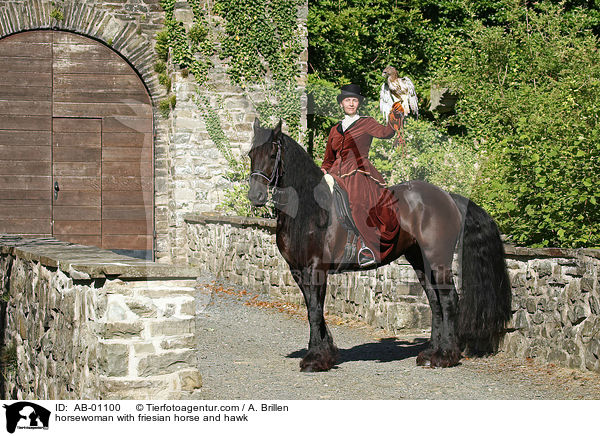 horsewoman with friesian horse and hawk / AB-01100