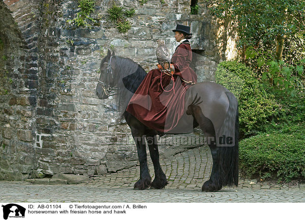 horsewoman with friesian horse and hawk / AB-01104