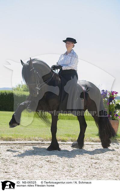 woman rides Friesian horse / NS-06525