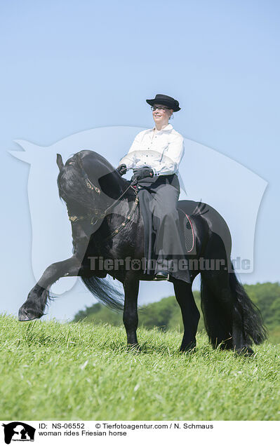 woman rides Friesian horse / NS-06552