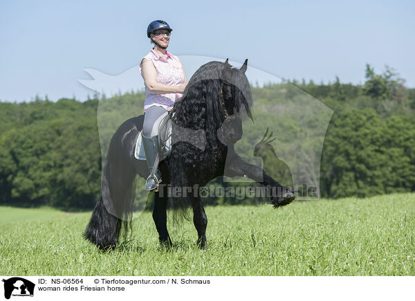 woman rides Friesian horse / NS-06564