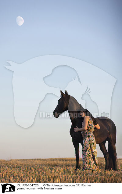 young woman with friesian mare / RR-104723