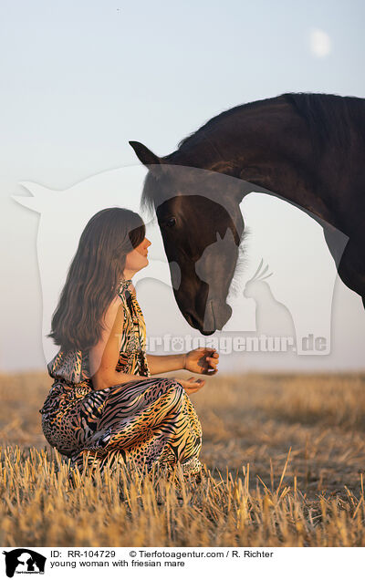 young woman with friesian mare / RR-104729
