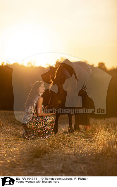 young woman with friesian mare / RR-104741